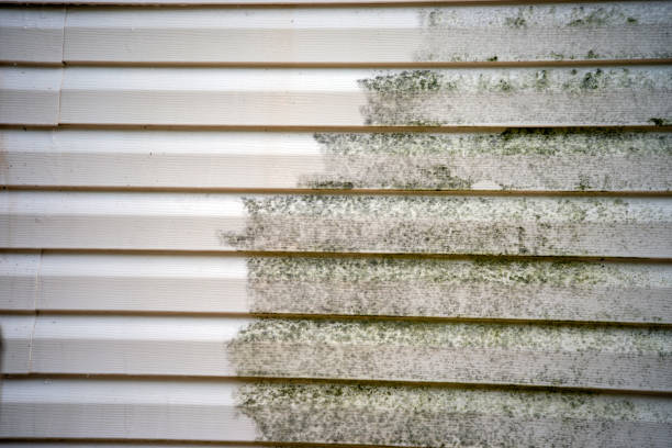 Best Carpet Removal and Disposal  in Elim, PA